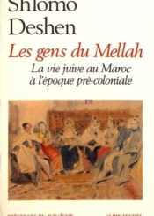 Les gens du Mellah : la vie juive au Maroc à l'époque précoloniale