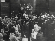 La déportation des Juifs de Hongrie