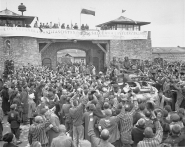 Les Résistants de Mauthausen de Barbara Necek