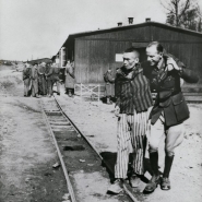 1945, la découverte des camps