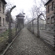 "Auschwitz Projekt" et "Auschwitz, le complexe" d’Emil Weiss