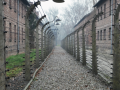Voyage Auschwitz Public 2024