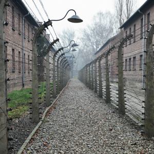 Voyage Auschwitz Public 2022